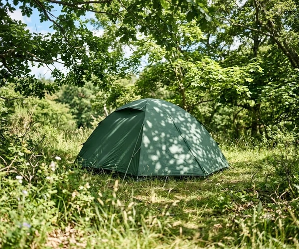 shady breezy campsite