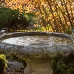 Songbirds perched on a stone pedestal bird bath rim in an autumn garden