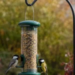 Green tube bird feeder on a shepherd hook with songbirds feeding in an autumn garden