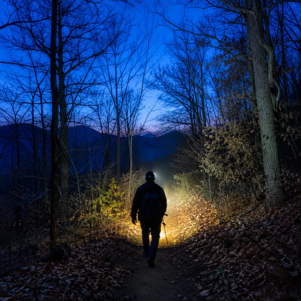 Headlamp beam lighting a forest trail at dusk in late autumn