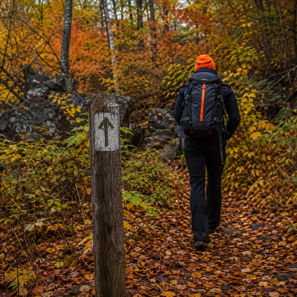 Hiker in blaze orange passing a trail marker post in bright autumn woods