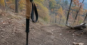 How to use trekking poles: a pole planted in dirt on a descending woodland trail