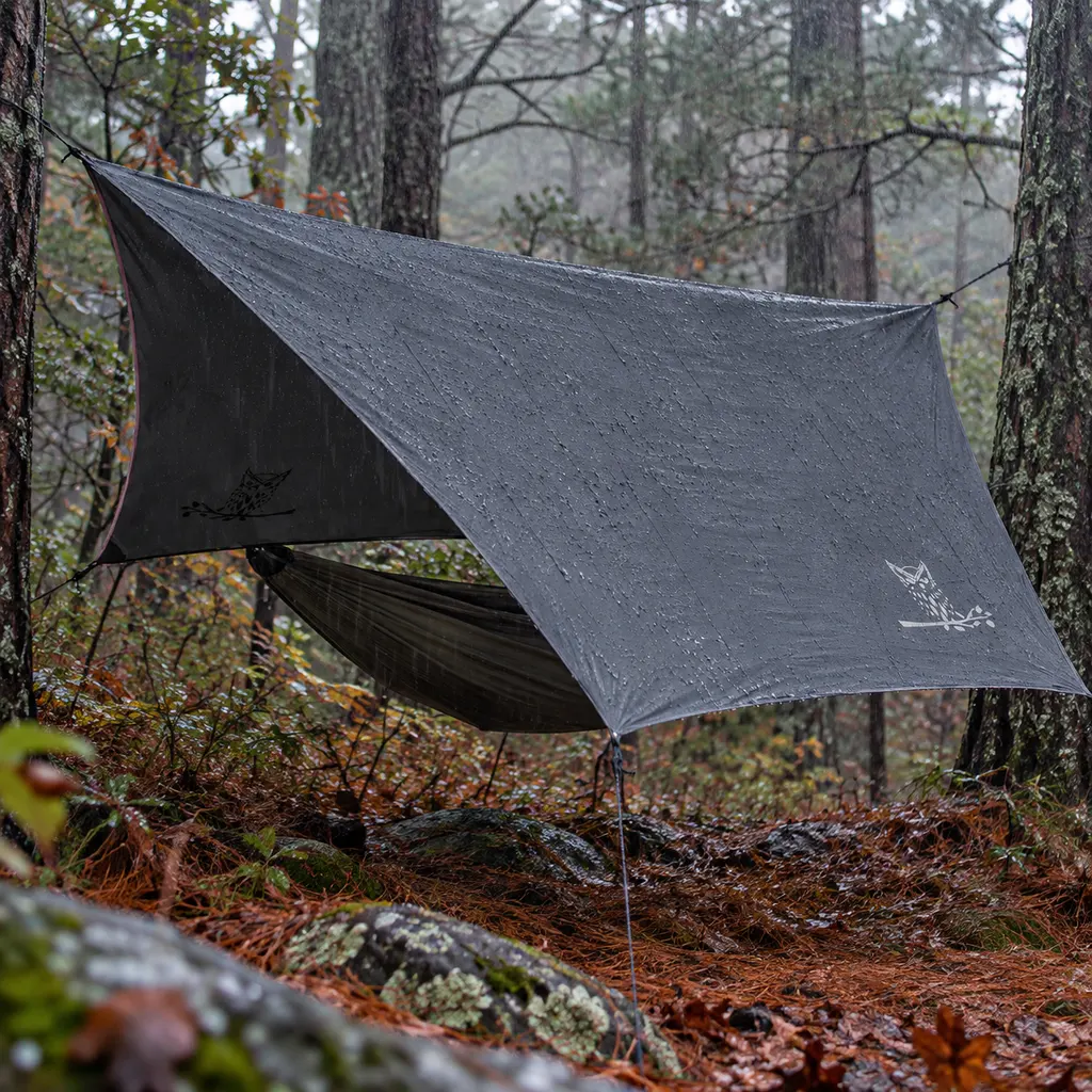 Wise Owl grey hex rain fly over a hammock in a North Carolina pine forest