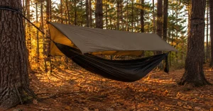 Hammock camping for beginners, a hammock and tarp hung in an autumn forest