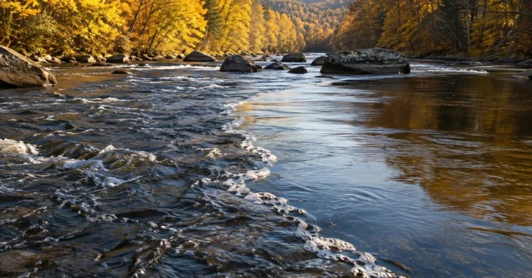 How to Read a River: 7 Places Fish Actually Hold How to Read a River: 7 Places Fish Actually Hold