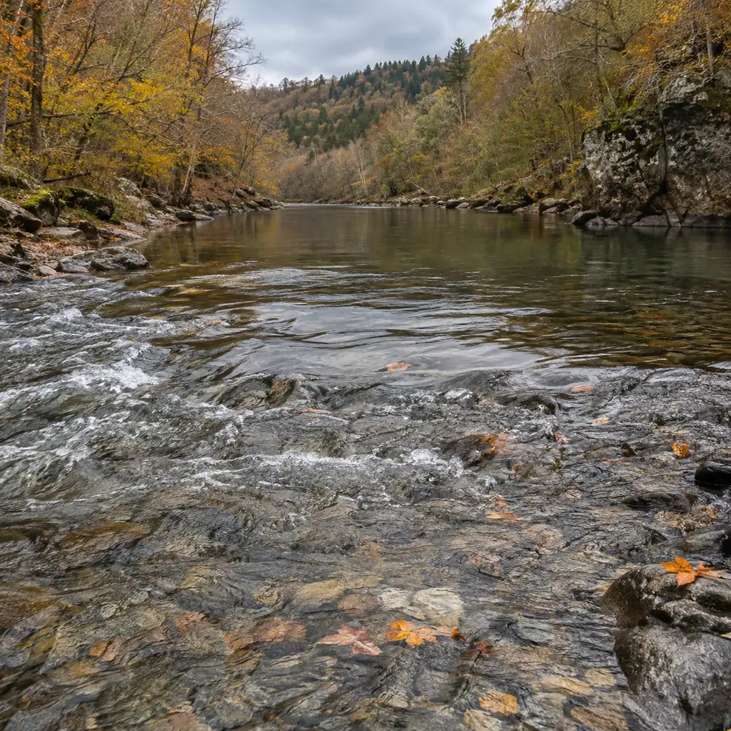 How to read a river, a riffle tipping into a deeper pool over clear gravel