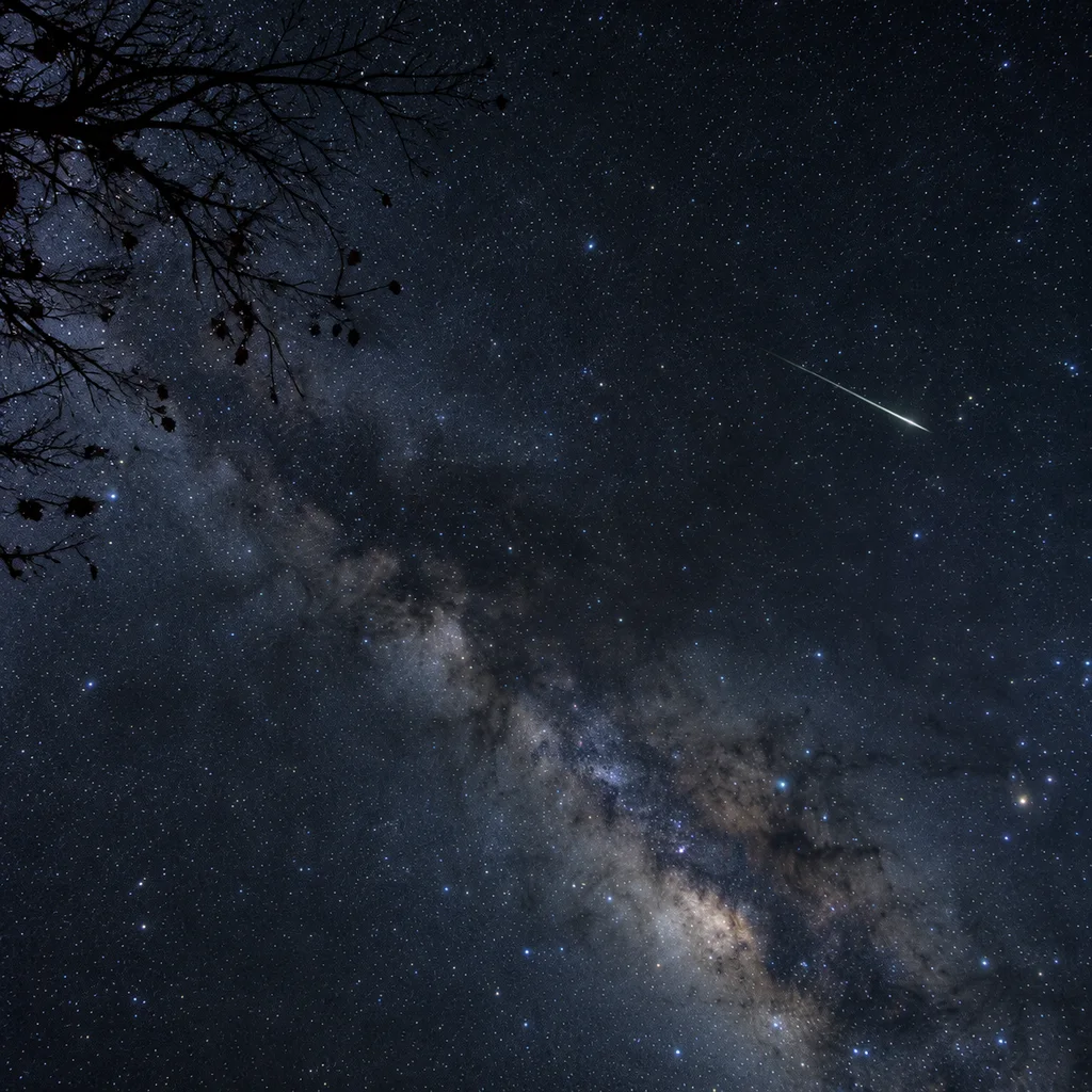 Orionid meteor shower, a bright meteor trail crossing a dense star field